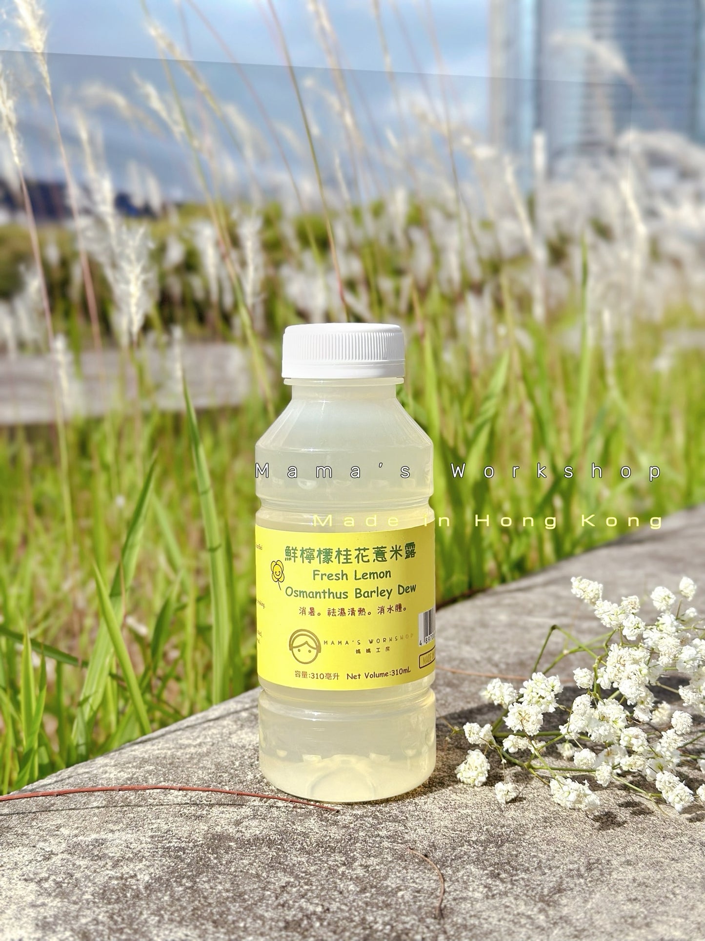 鮮檸檬桂花薏米露-即飲裝-310mL-鮮製飲品
